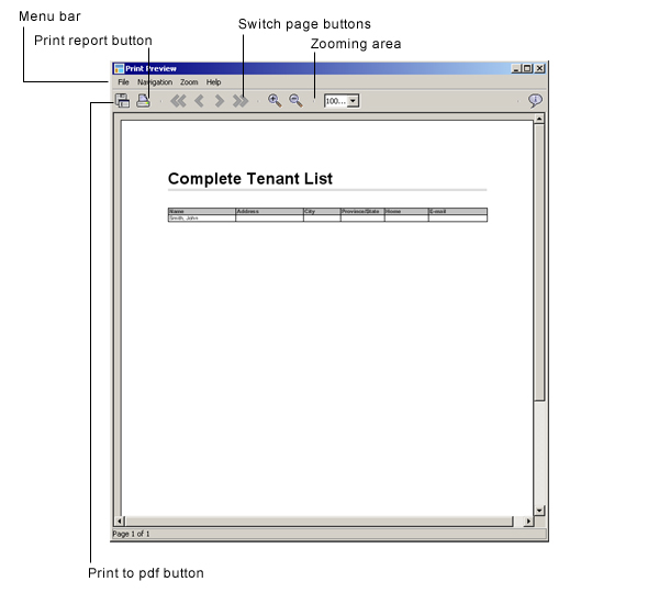 LandlordMax Property Management Software User Manual Screenshot: Printing Interface